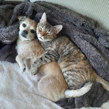 Entry image for Peanut and Anna