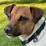 Entry image for Freddie