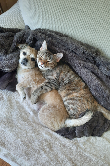 Entry image for Peanut and Anna. Clicking this image will show a larger photo