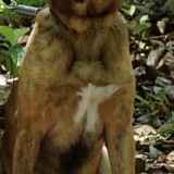 Entry image for Tucker 