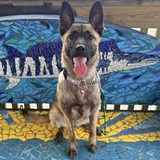 Entry image for Xena