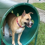 Entry image for Jethro