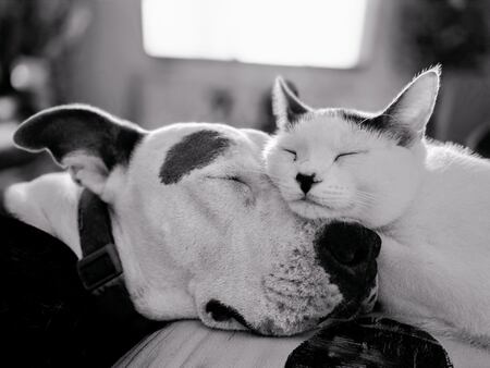 Entry image for Mater & Rigby. Clicking this image will show a larger photo