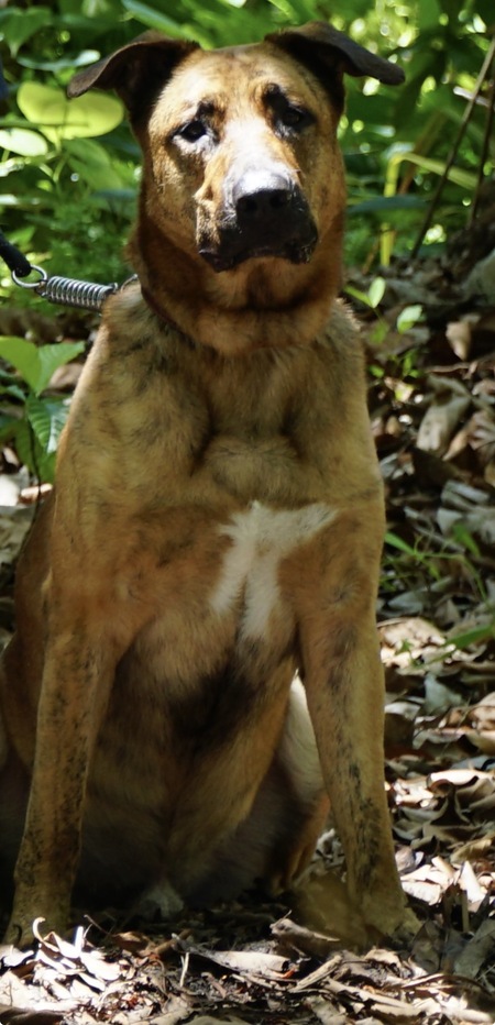 Entry image for Tucker . Clicking this image will show a larger photo