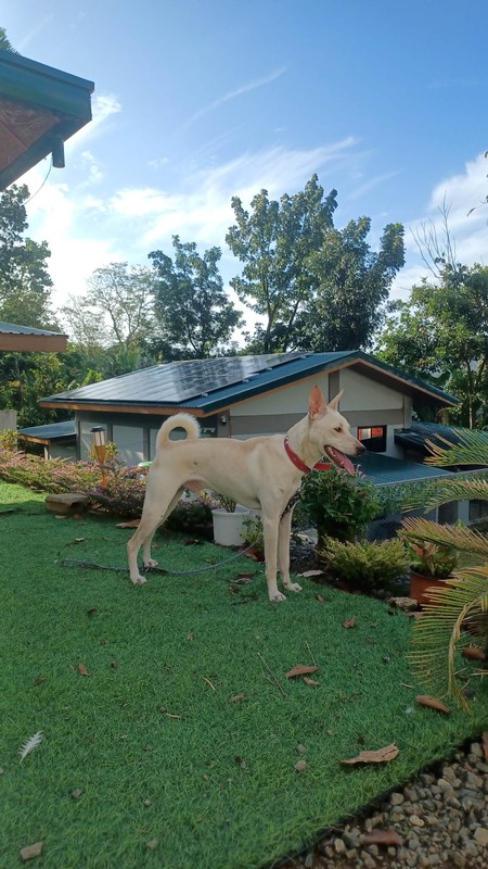Entry image for Azan. Clicking this image will show a larger photo