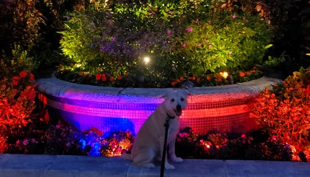 Entry image for Shyanne. Clicking this image will show a larger photo