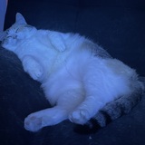 Entry image for Yuki