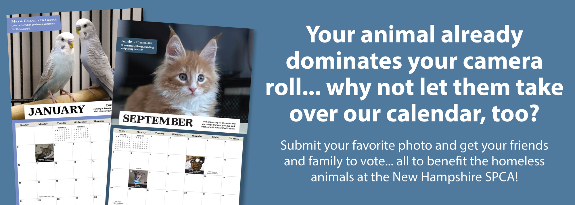 Banner for The 2027 NHSPCA Calendar Contest