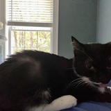 Entry image for Binx