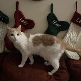 Entry image for Eddie