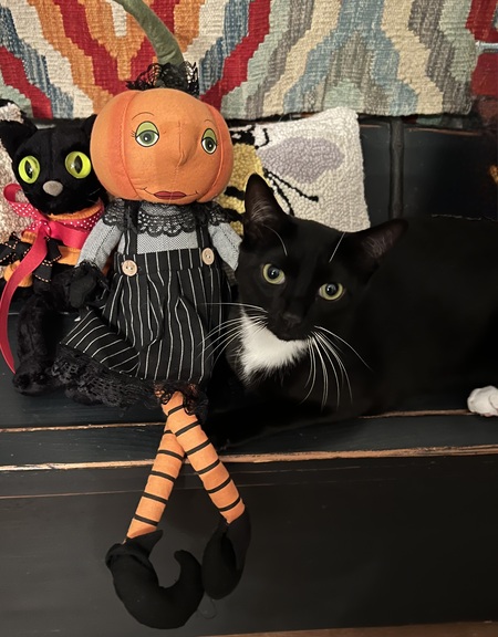 Entry image for Wednesday Adams. Clicking this image will show a larger photo