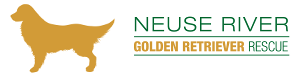 Logo for 2027 NRGRR Calendar Contest