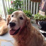 Entry image for Tucker