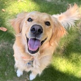 Entry image for Trudy