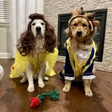 Entry image for Sadie and Trooper