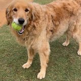 Entry image for Charlie