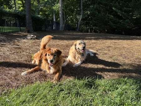Entry image for Squishy & TJ. Clicking this image will show a larger photo