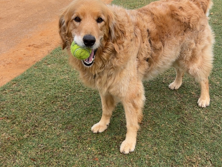 Entry image for Charlie. Clicking this image will show a larger photo
