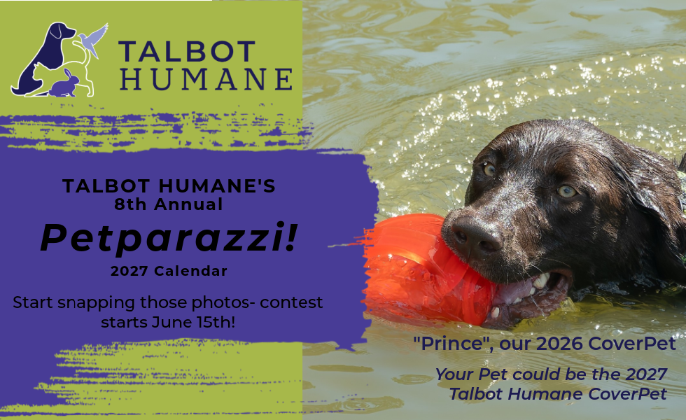Banner for Talbot Humane’s 8th Annual 2027 Petparazzi Calendar Pet Photo Contest