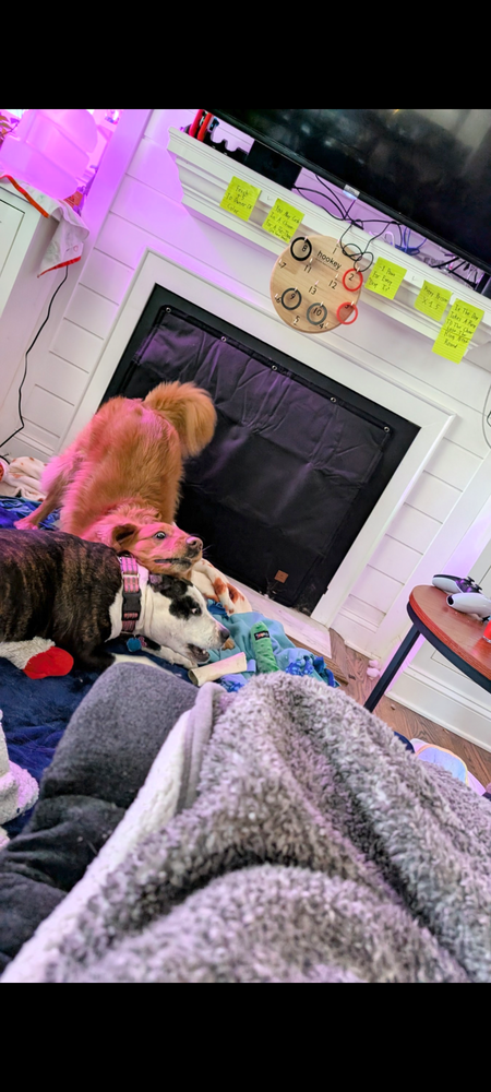 Entry image for Tucker and Bella. Clicking this image will show a larger photo