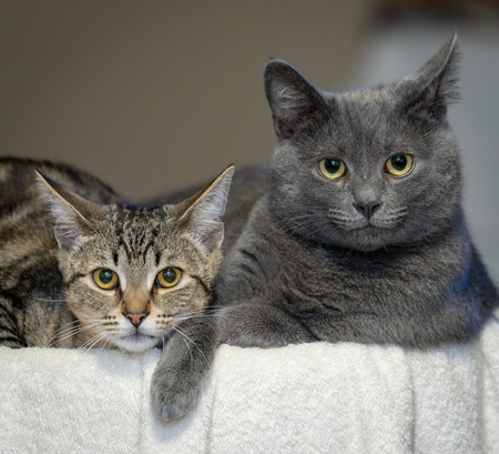 Entry image for Kenny and Timmy. Clicking this image will show a larger photo
