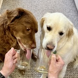 Entry image for Larry and Abby