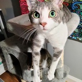 Entry image for Marbles