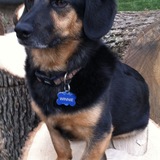 Entry image for In memory of Winnie
