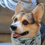 Entry image for Sam