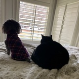 Entry image for Biggie  and Smalls
