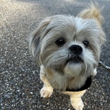 Entry image for Oliver