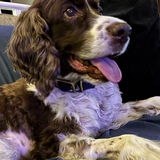 Entry image for Harry