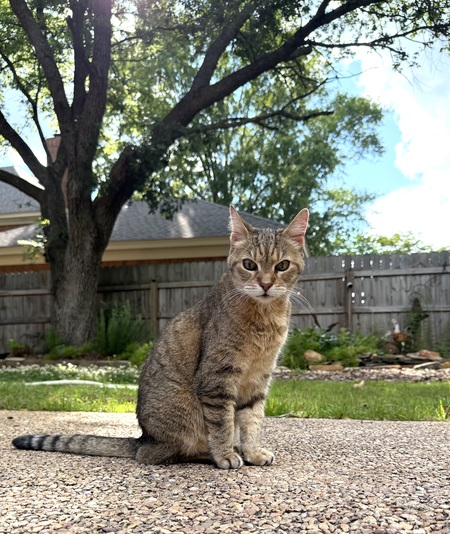 Entry image for Keye. Clicking this image will show a larger photo