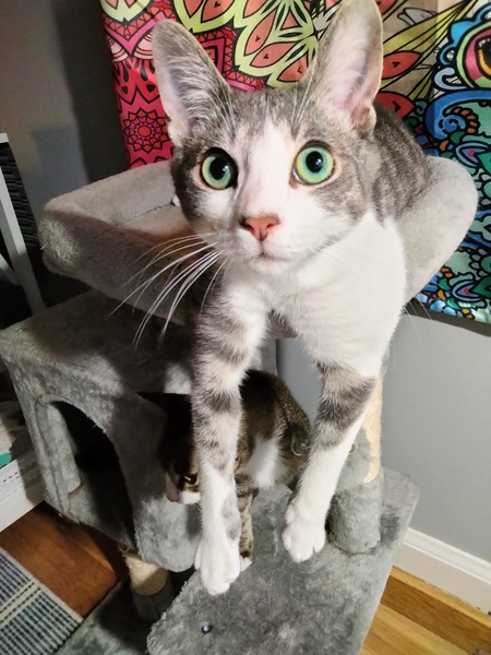 Entry image for Marbles. Clicking this image will show a larger photo