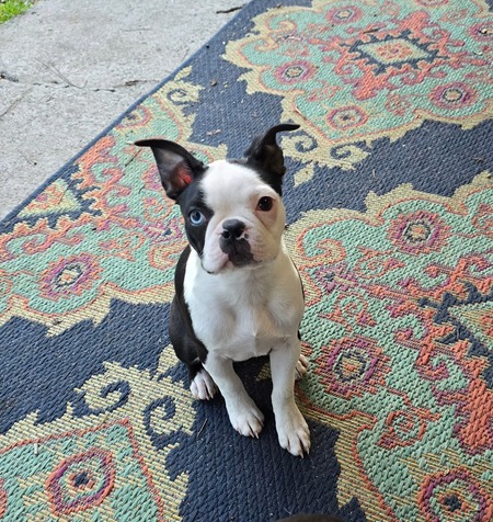 Entry image for Ohna. Clicking this image will show a larger photo