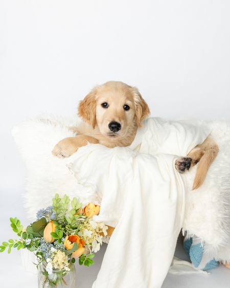 Entry image for Hank. Clicking this image will show a larger photo