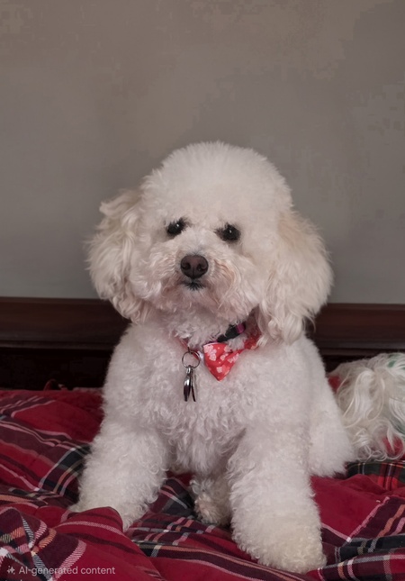Entry image for Cuddles. Clicking this image will show a larger photo