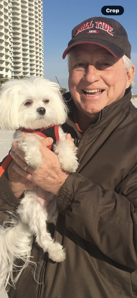 Entry image for Presley . Clicking this image will show a larger photo