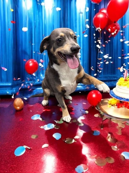 Entry image for Brady Cal. Clicking this image will show a larger photo
