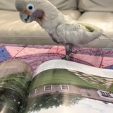 Entry image for Peaches