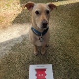 Entry image for Jax