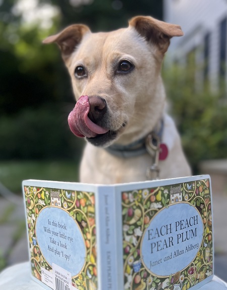 Entry image for Lucy. Clicking this image will show a larger photo