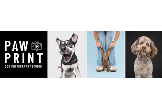 https://www.pawprintstudioct.com/
