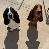 Entry image for Cooper and Roloff