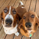 Entry image for Kevin & Scarlett