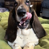 Entry image for Walter