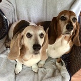 Entry image for Molly and Maggie 