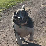 Entry image for Sophie