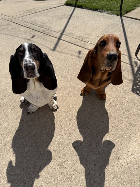 Entry image for Cooper and Roloff. Clicking this image will show a larger photo