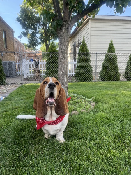 Entry image for Milton. Clicking this image will show a larger photo